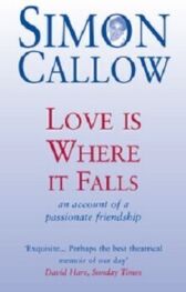 Love Is Where It Falls - an account of a passionate friendship